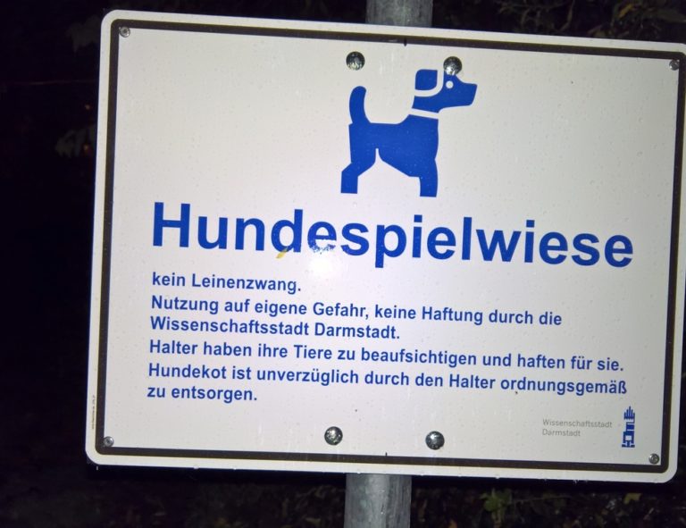 SPD befürwortet die beginnende Einrichtung von Freilaufflächen für